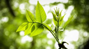 3032123-poster-p-1-how-you-can-turn-not-my-job-into-personal-development